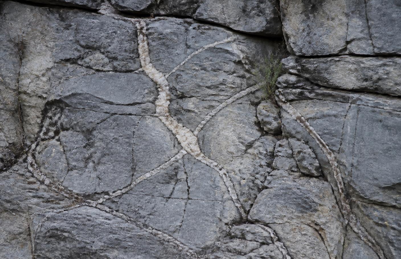 Weathered limestone cliff face in the Texas hill country, its fissures filled with pale mineral veins