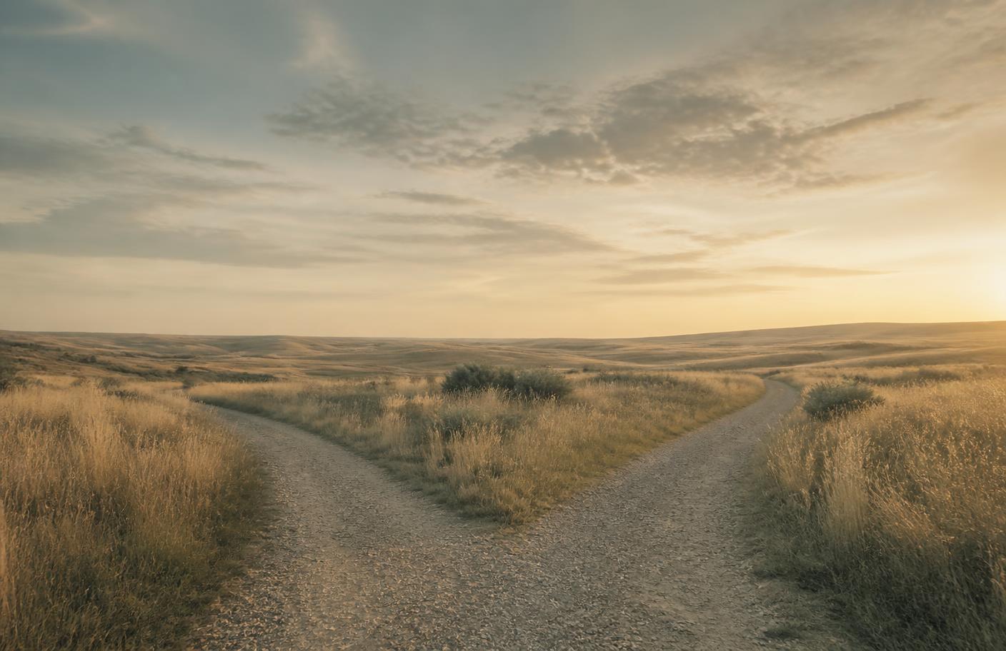 A gravel path forking in two directions through tall dry grass at golden hour